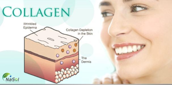 Tác dụng của Collagen với da