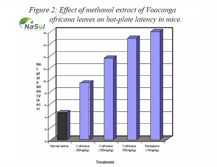 Tác dụng giảm đau của Voacanga