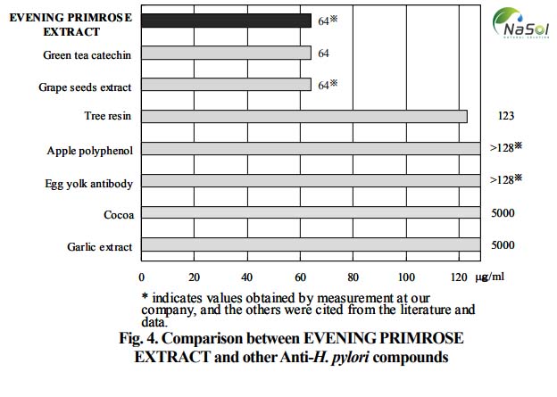 Tác dụng ức chế vi khuẩn H.polyri của chiết xuất hoa anh thảo (Evening primrose extract)