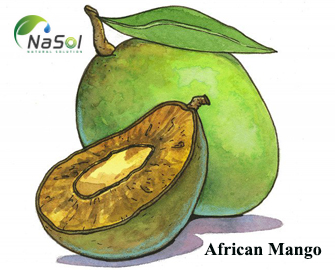 Xoài Châu Phi (African Mango) có thực sự giúp giảm cân?