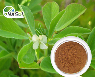 Testofen® giúp tăng testosterone tự do 