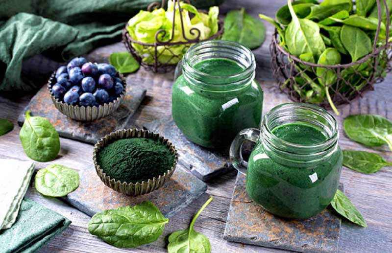tảo spirulina